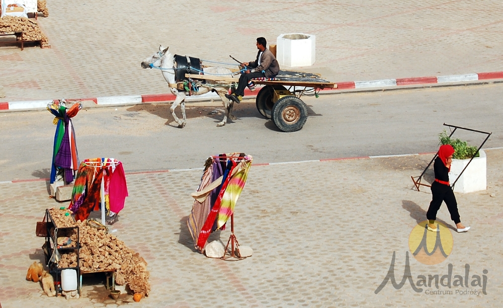 Podróż do Tunezji - Douz - wrota Sahary