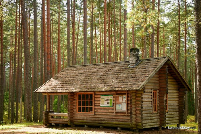 obozy młodzieżowe w Estonii